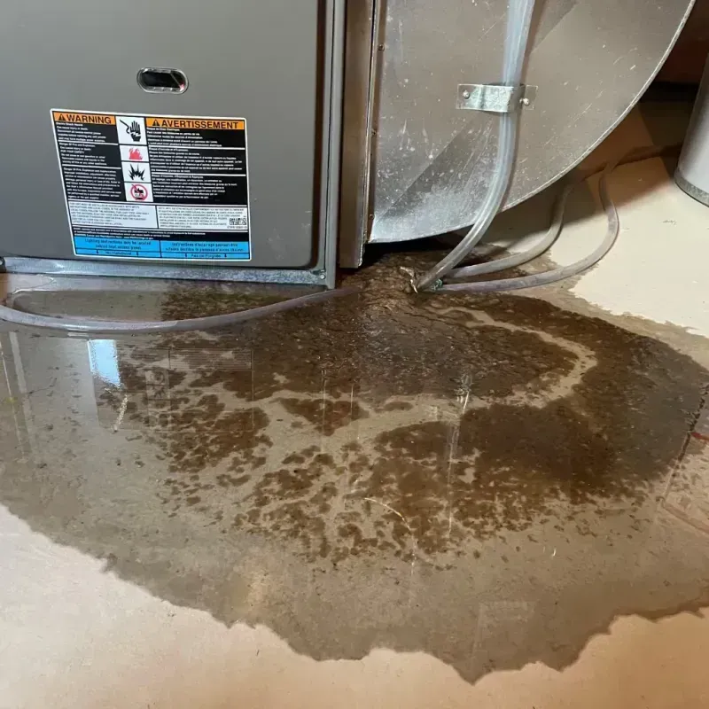 Appliance Leak Cleanup in Rosedale, MS